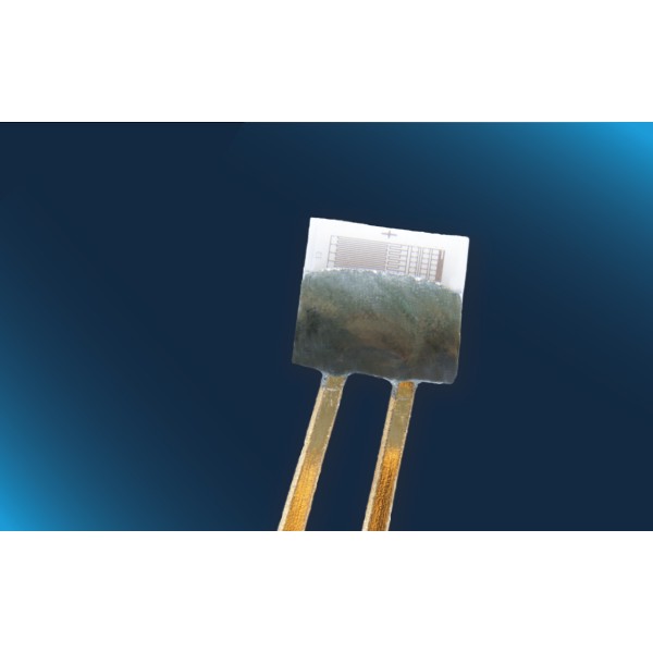 Pt100 (202) class F0.3 with flat wires, with optimized ESD design