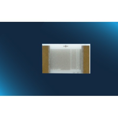 Pt100 FlipChip class F0.3