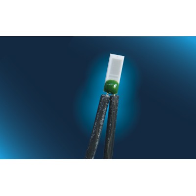 Pt1000 class F0.3 with Ag wire and insulation tube