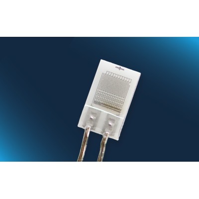 PW1000 class F0.1 up to +600 °C with Pt wire, with optimized ESD design