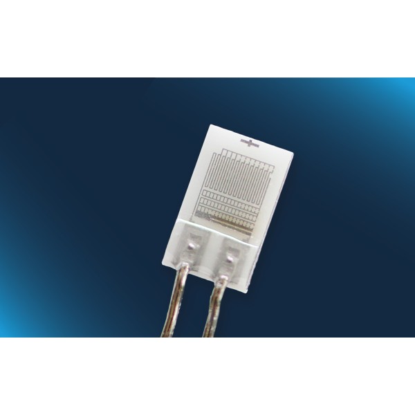 PW1000 class F0.1 up to +600 °C with Pt wire, with optimized ESD design